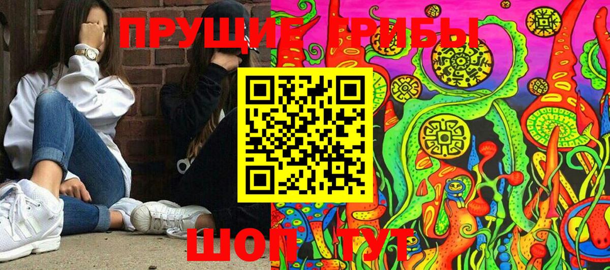Приморско-Ахтарск  Галлюциногенные грибы Psilocybe  Галлюциногенные грибы мицелий  Вход с VPN 